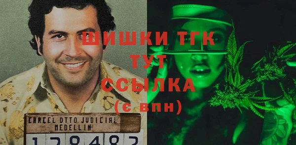 бошки Осинники