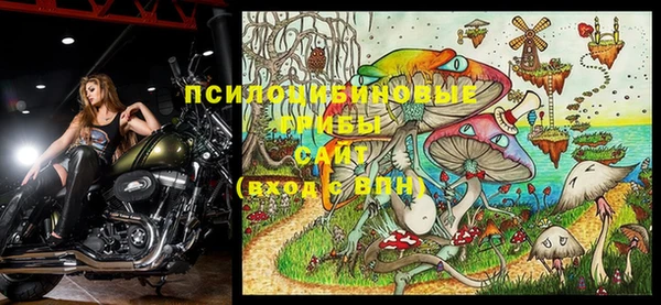 2c-b Осташков