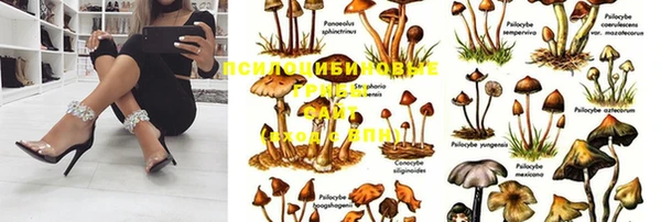 наркотики Пересвет