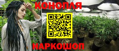 стаф Гусиноозёрск