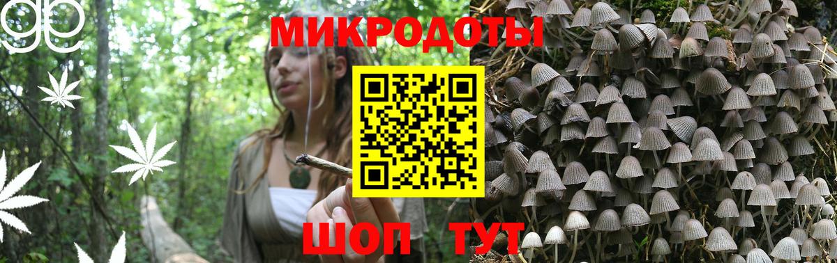 Псилоцибиновые грибы Psilocybe Благовещенск